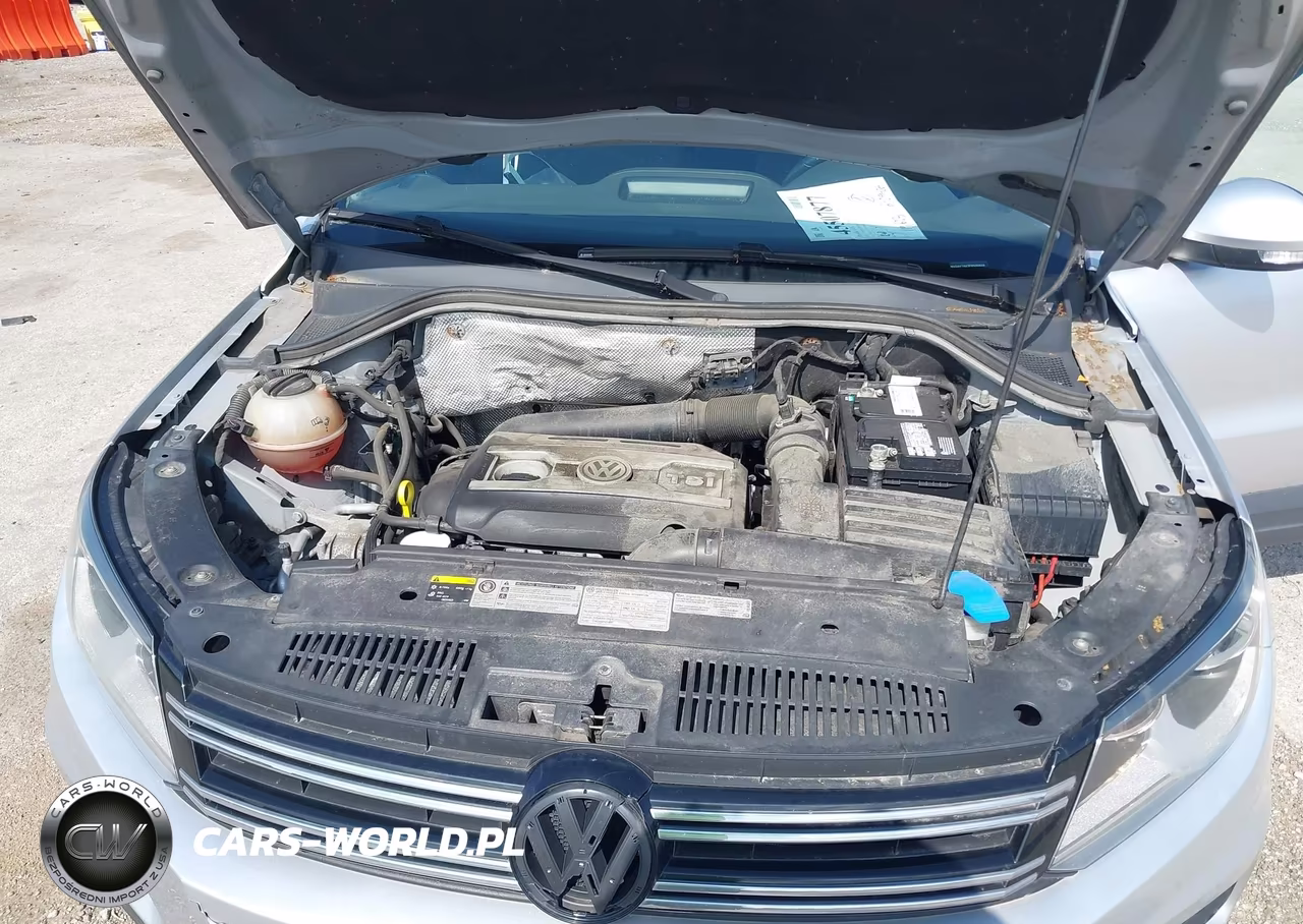 2015 Volkswagen Tiguan S VIN:WVGAV7AX3FW566648 - 10
