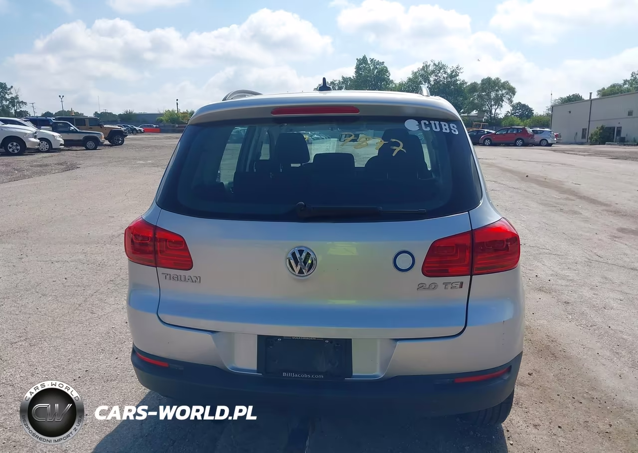 2015 Volkswagen Tiguan S VIN:WVGAV7AX3FW566648 - 17