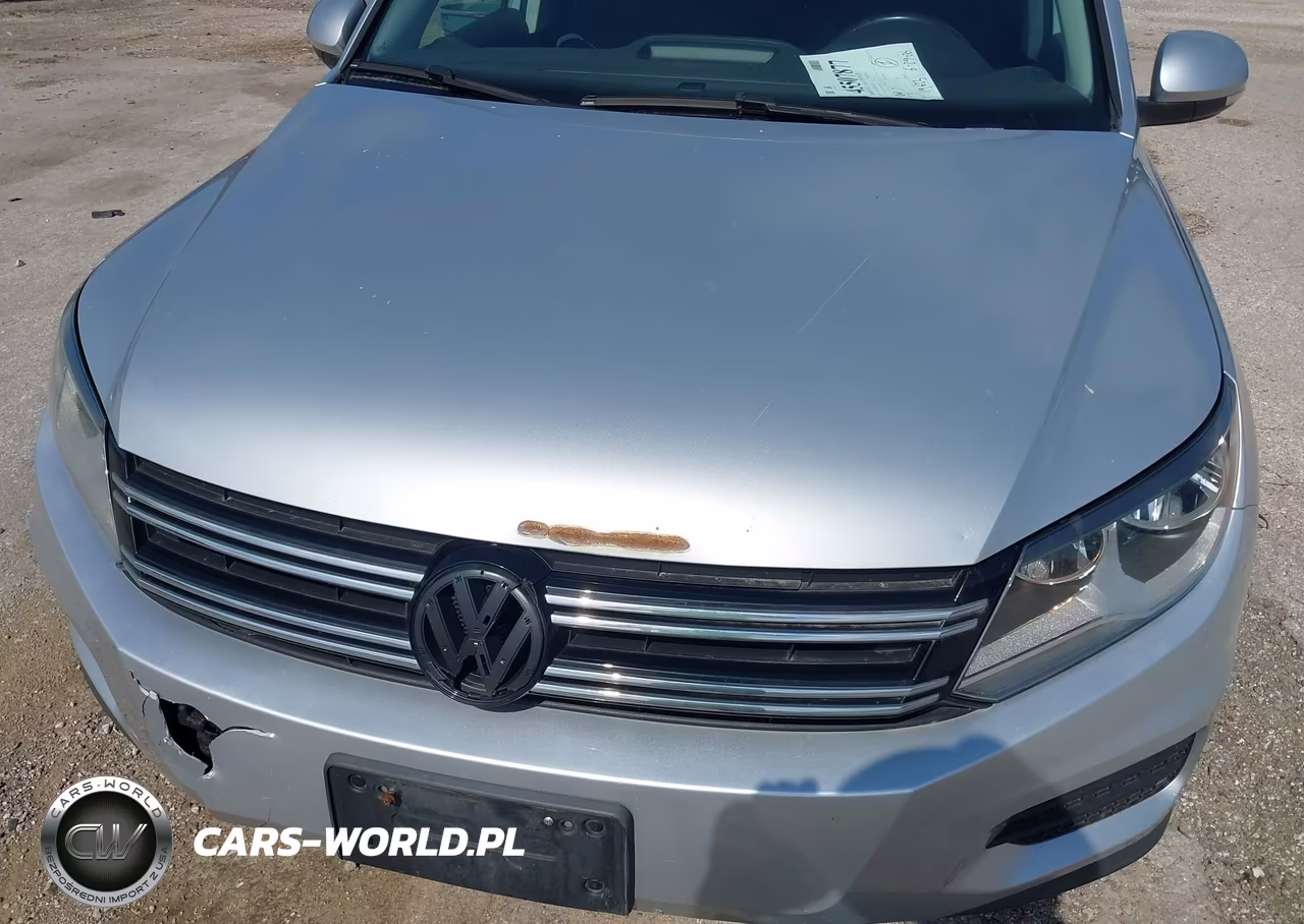 2015 Volkswagen Tiguan S VIN:WVGAV7AX3FW566648 - 6