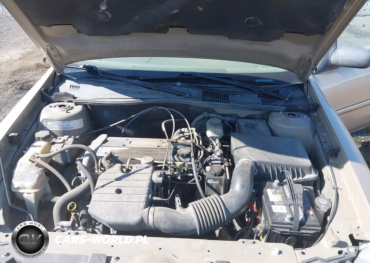 2005 Chevrolet Classic VIN:1G1ND52F15M117541 - 10