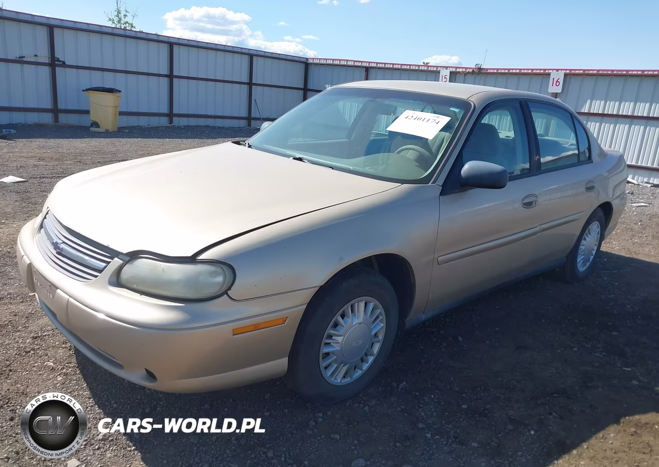 2005 Chevrolet Classic VIN:1G1ND52F15M117541 - 2
