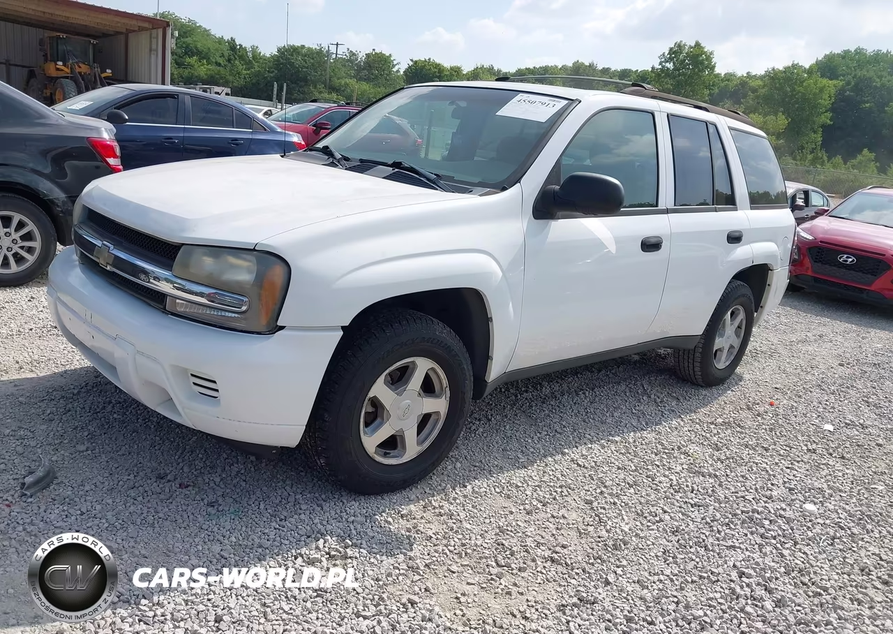 2004 Chevrolet Trailblazer Ls VIN:1GNDS13S542301007 - 2