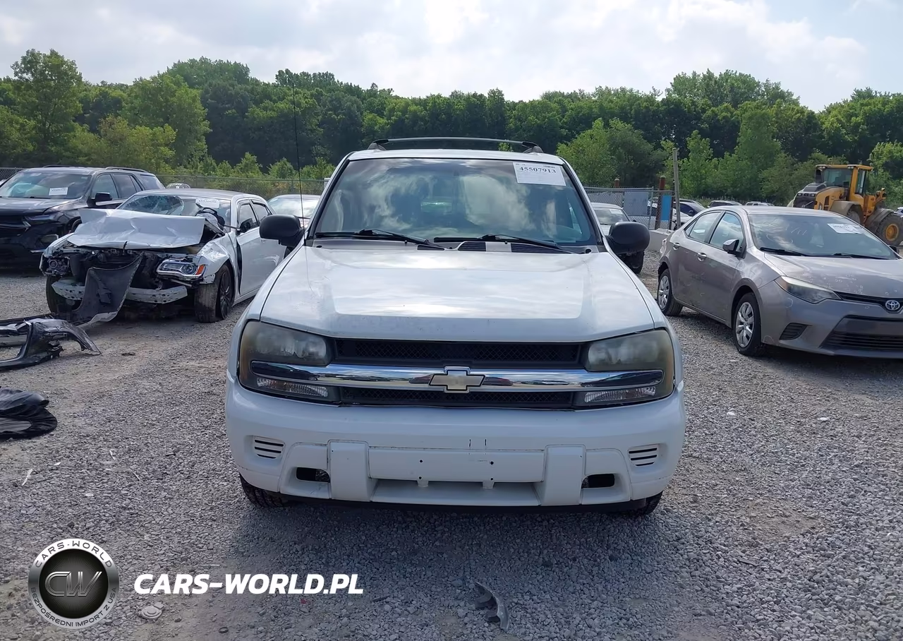 2004 Chevrolet Trailblazer Ls VIN:1GNDS13S542301007 - 6
