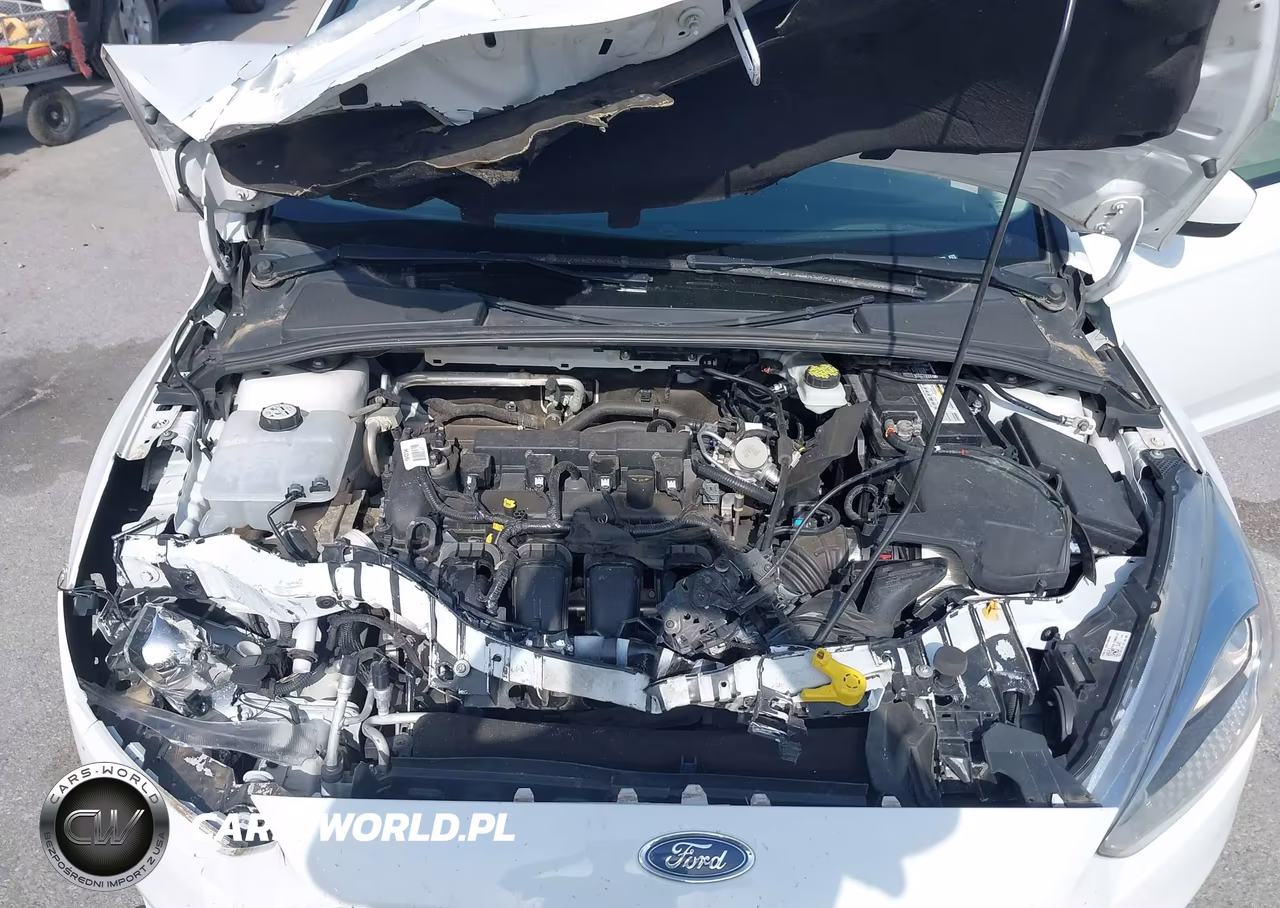 2018 Ford Focus Se VIN:1FADP3F20JL234233 - 10