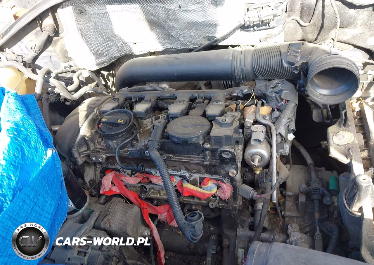 2010 Volkswagen Tiguan Se VIN:WVGBV7AX8AW001387 - 10