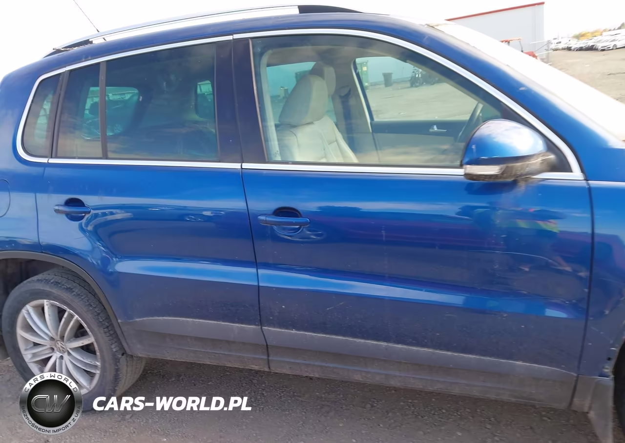2010 Volkswagen Tiguan Se VIN:WVGBV7AX8AW001387 - 13
