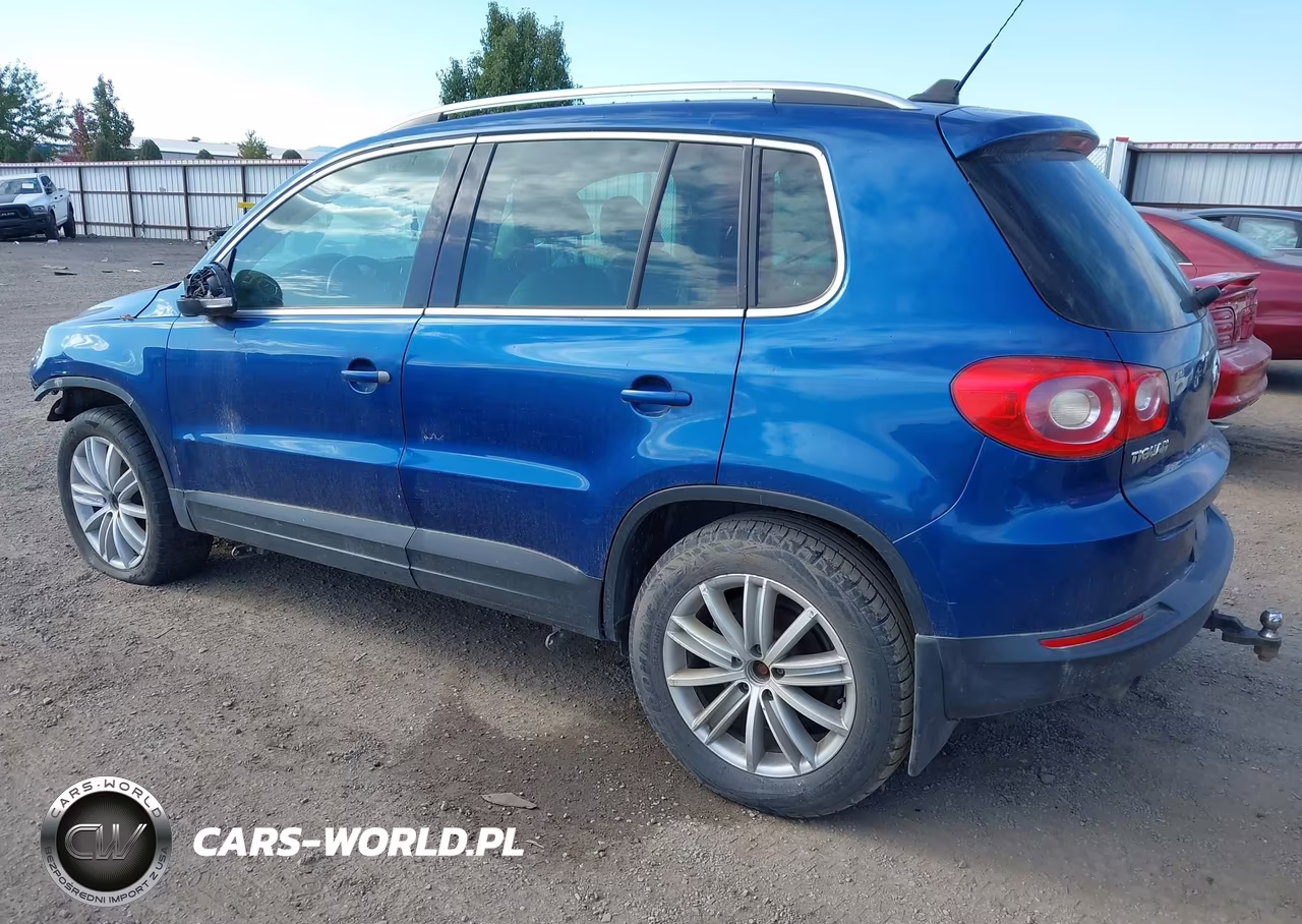 2010 Volkswagen Tiguan Se VIN:WVGBV7AX8AW001387 - 3