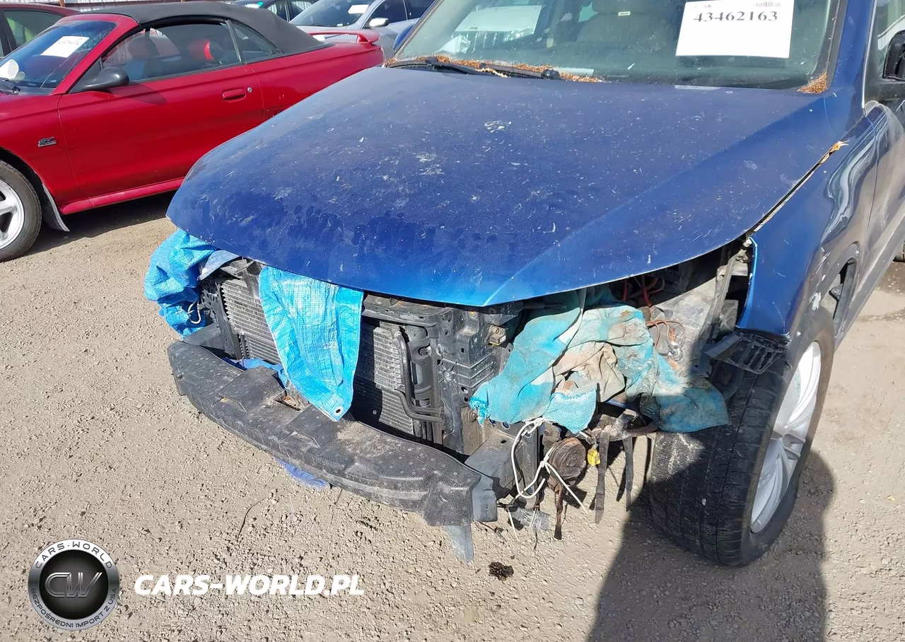 2010 Volkswagen Tiguan Se VIN:WVGBV7AX8AW001387 - 6