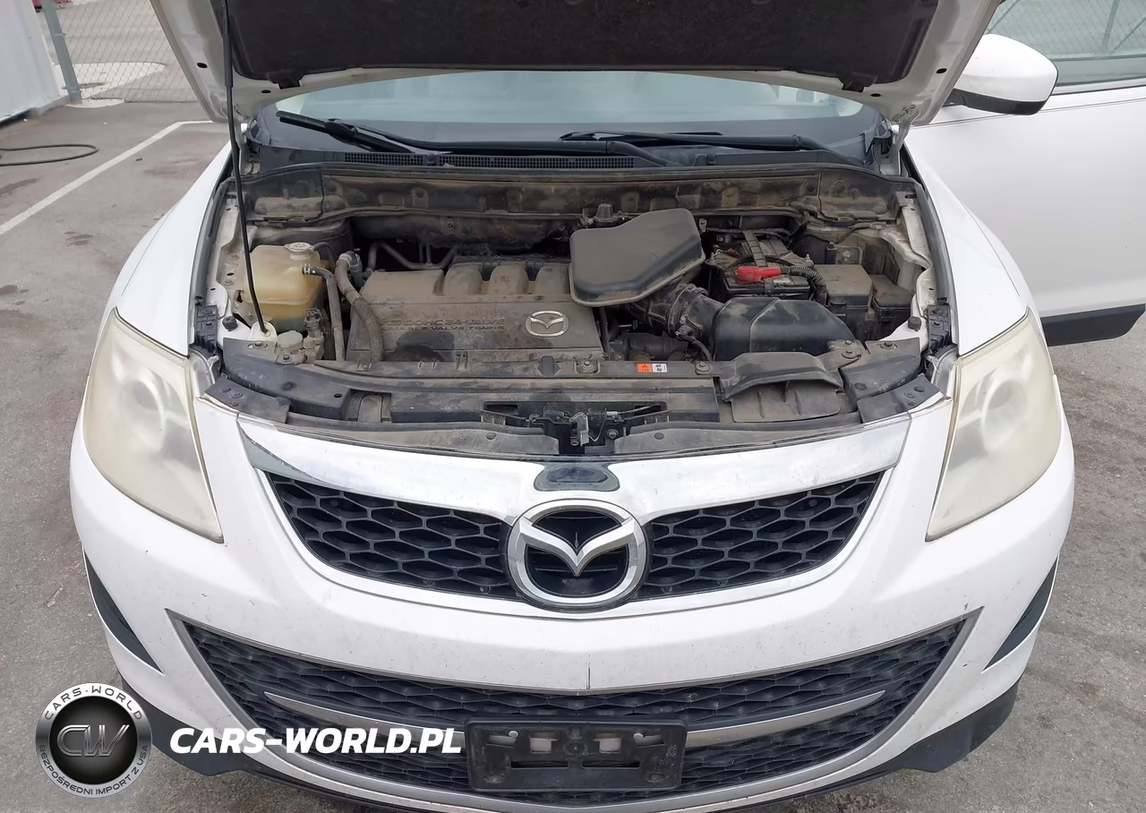 2010 Mazda Cx-9 Touring VIN:JM3TB2MAXA0232281 - 10