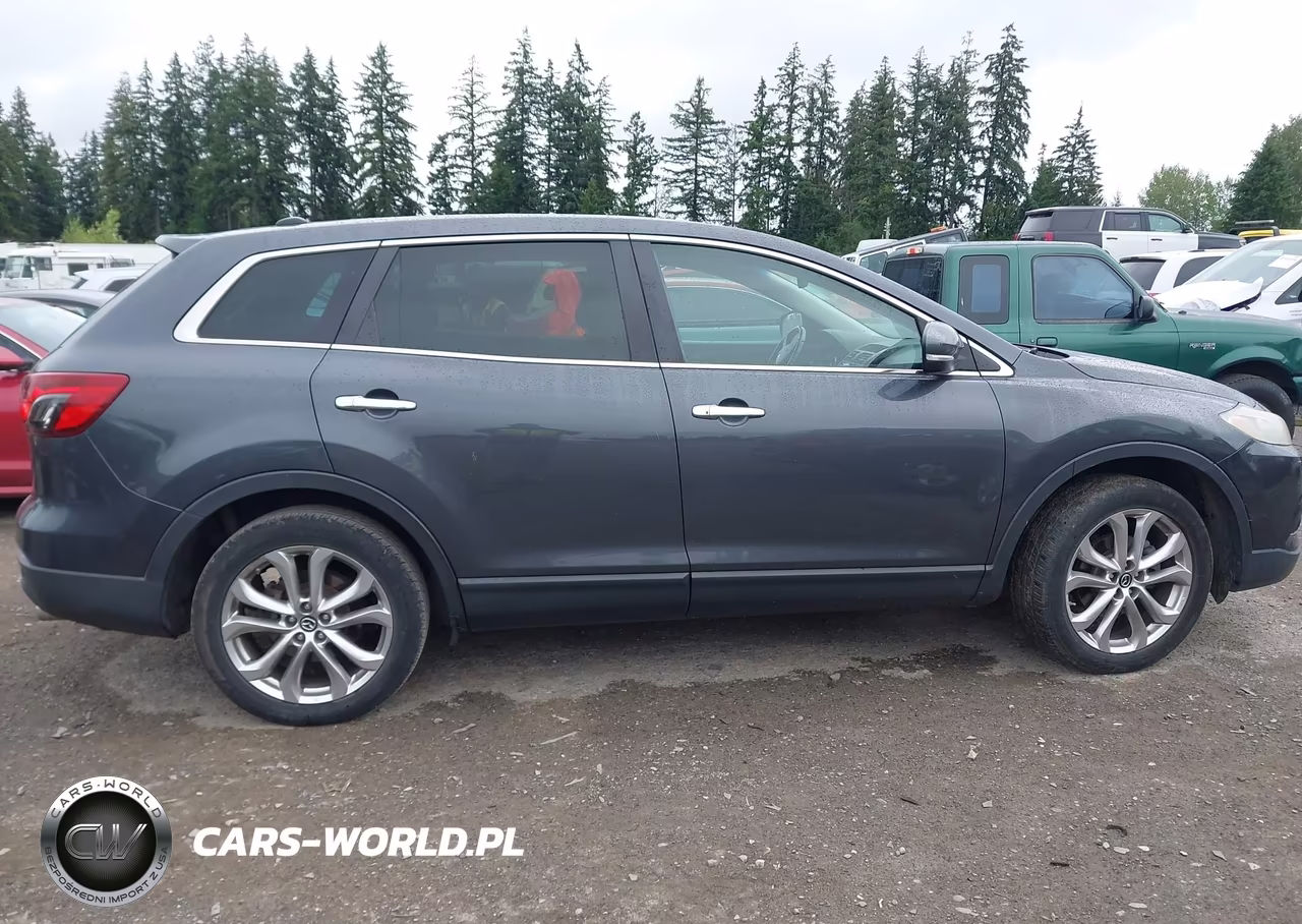 2013 Mazda Cx-9 Grand Touring VIN:JM3TB3DV8D0420553 - 13