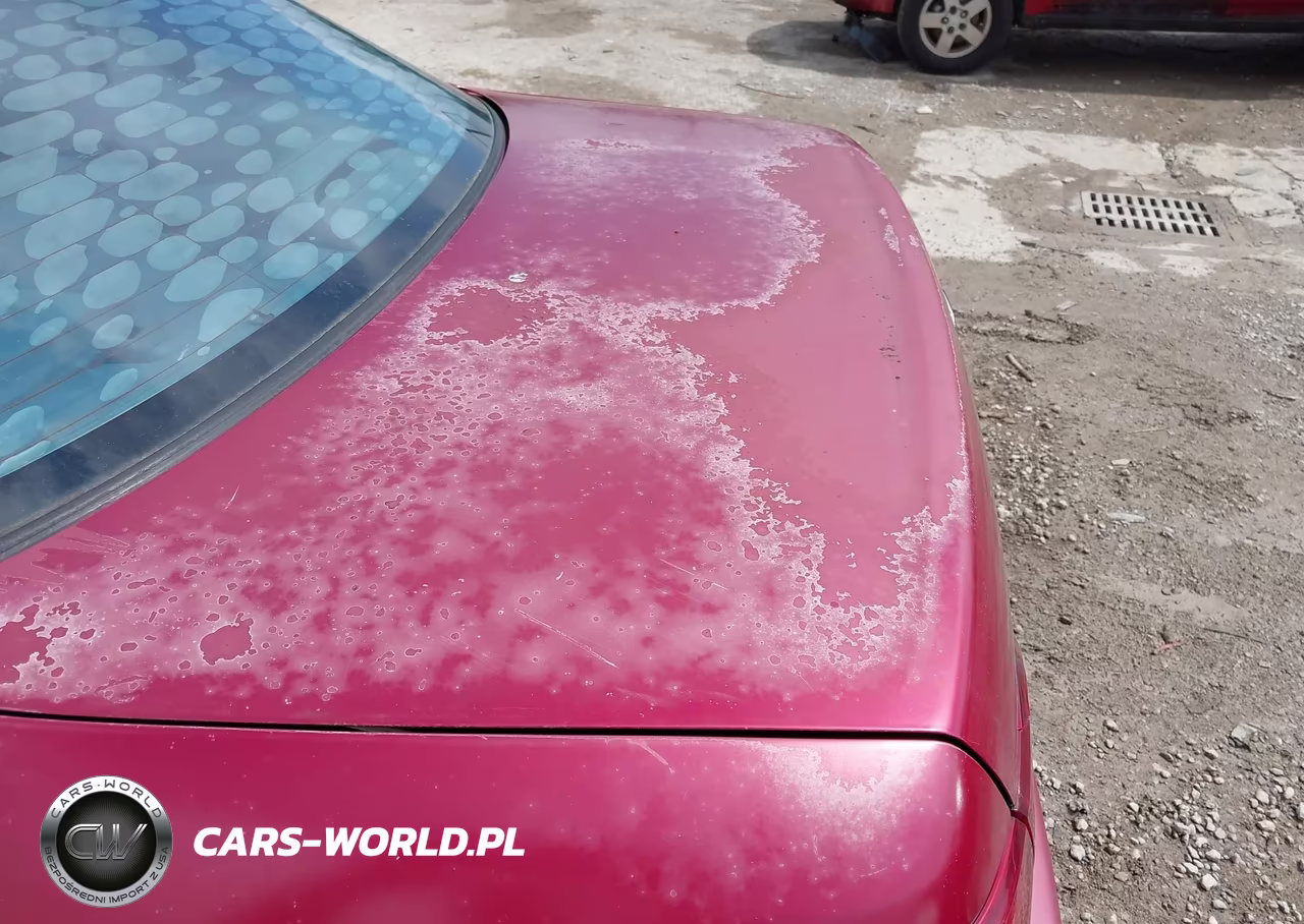 2002 Honda Accord 2.3 Ex VIN:1HGCG566328083293 - 13