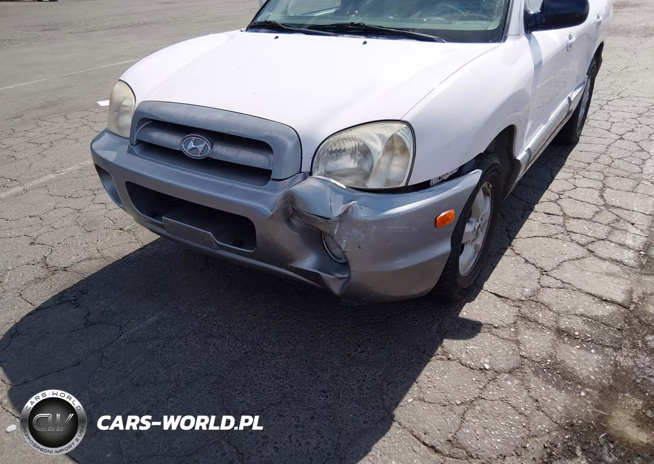2006 Hyundai Santa Fe Gls VIN:KM8SC73D56U046525 - 6