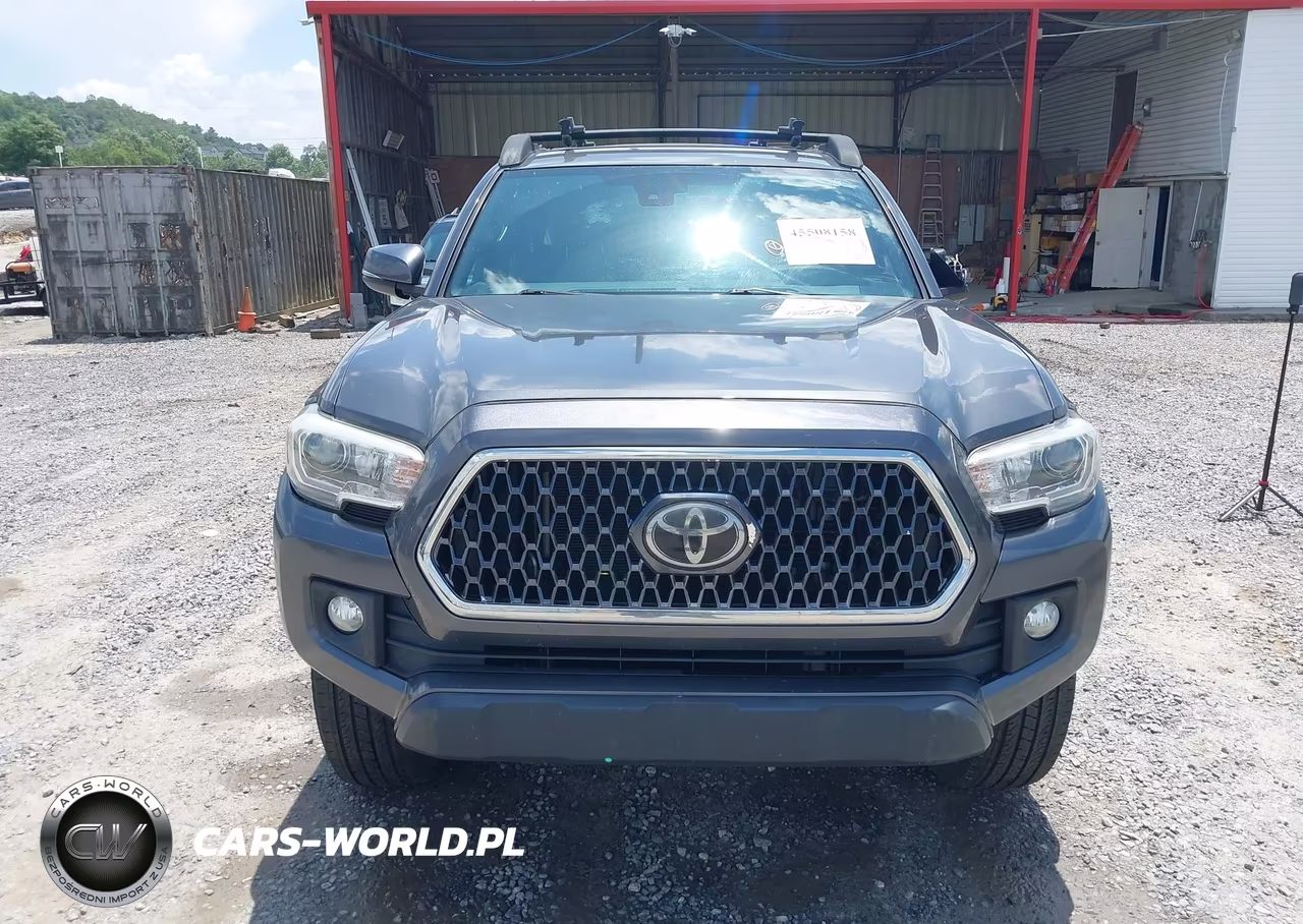 2019 Toyota Tacoma Trd Off Road VIN:3TMDZ5BNXKM069341 - 12