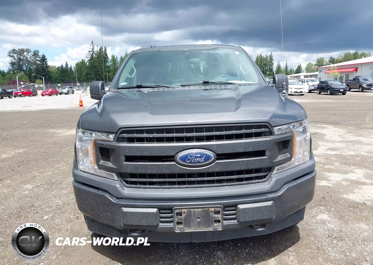 2019 Ford F-150 King Ranch-Lariat-Platinum-Xl-Xlt VIN:1FTEW1E59KKD38132 - 12