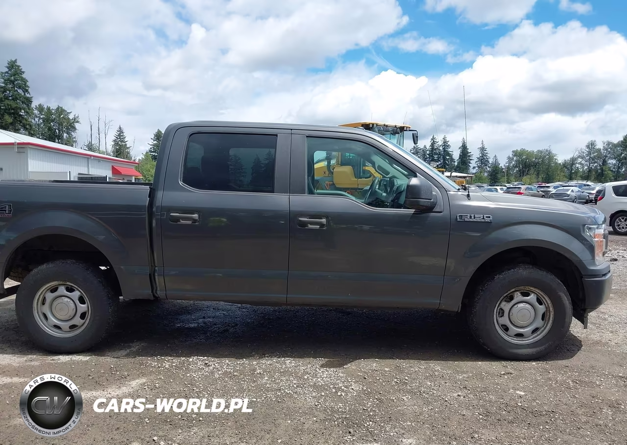 2019 Ford F-150 King Ranch-Lariat-Platinum-Xl-Xlt VIN:1FTEW1E59KKD38132 - 13