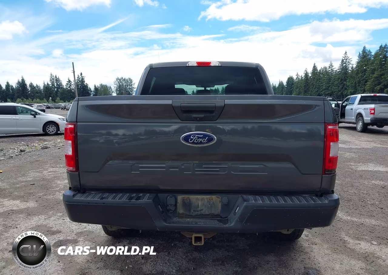 2019 Ford F-150 King Ranch-Lariat-Platinum-Xl-Xlt VIN:1FTEW1E59KKD38132 - 16