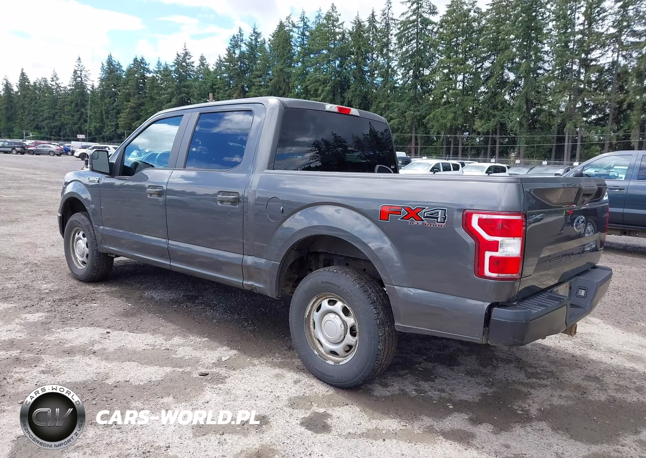 2019 Ford F-150 King Ranch-Lariat-Platinum-Xl-Xlt VIN:1FTEW1E59KKD38132 - 3