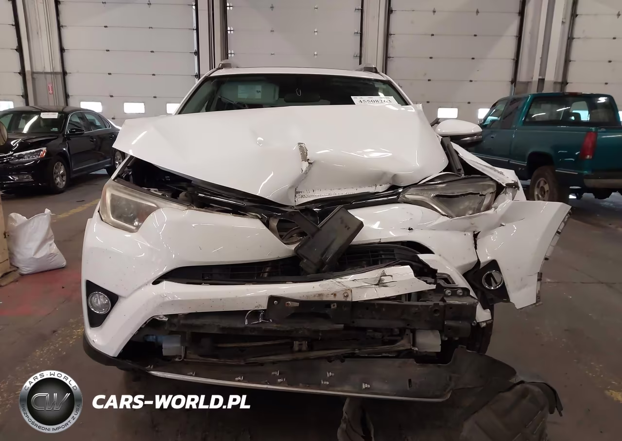 2016 Toyota Rav4 Xle VIN:2T3RFREV1GW442550 - 13