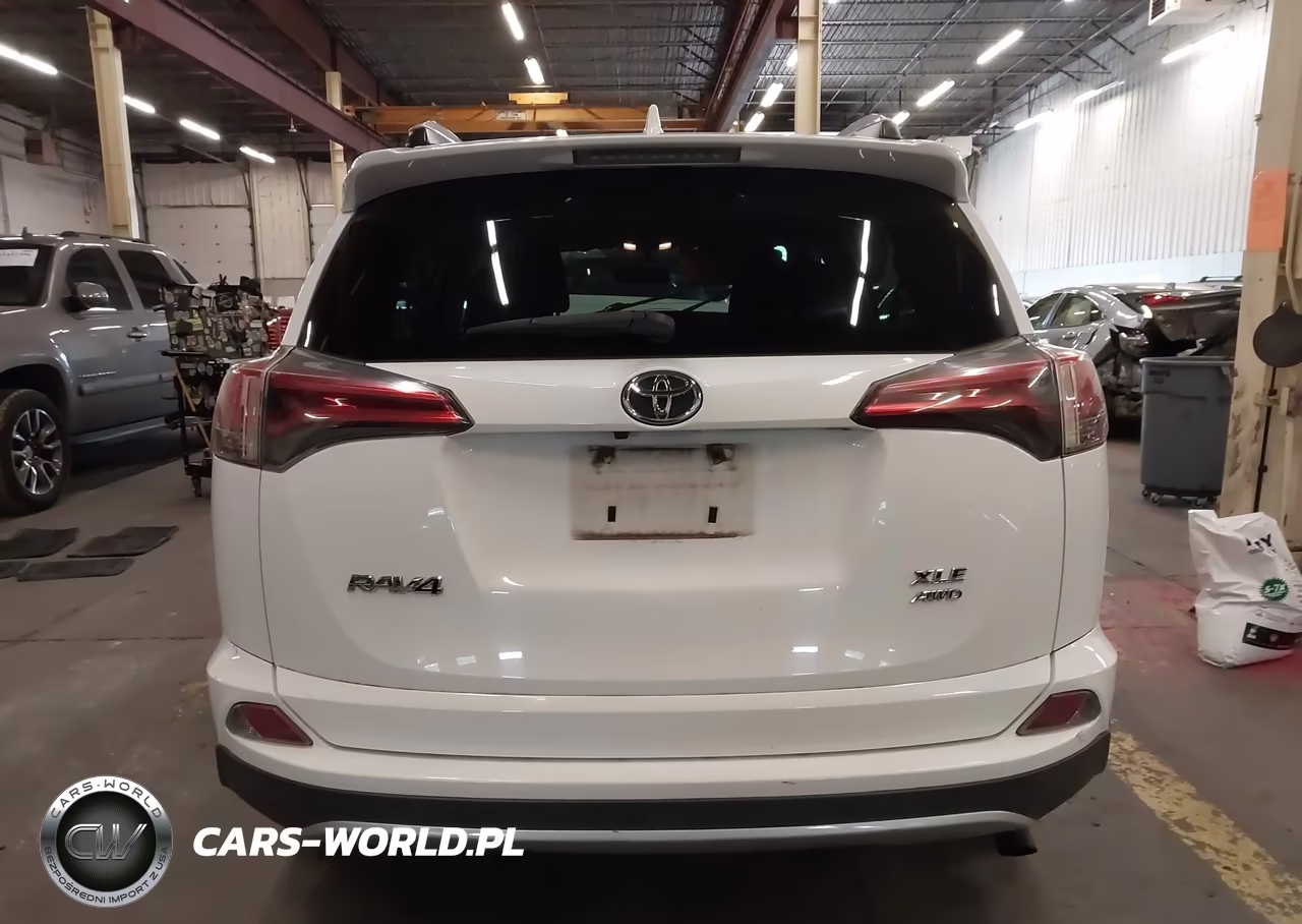 2016 Toyota Rav4 Xle VIN:2T3RFREV1GW442550 - 17