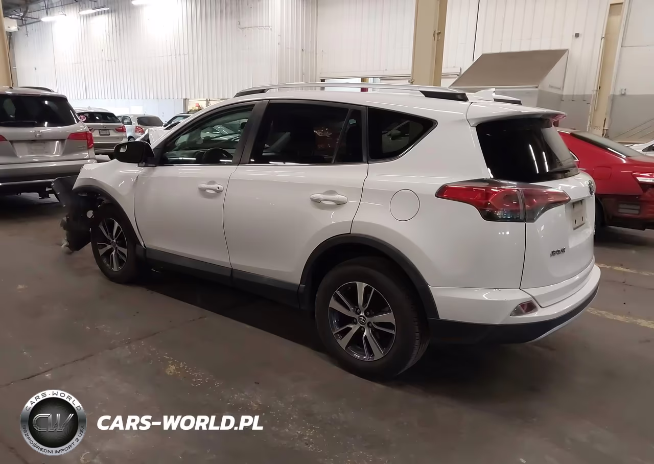 2016 Toyota Rav4 Xle VIN:2T3RFREV1GW442550 - 3