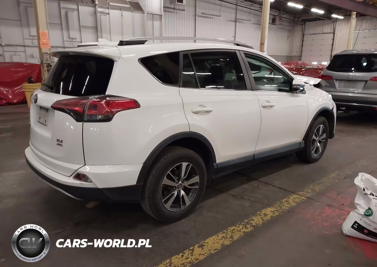 2016 Toyota Rav4 Xle VIN:2T3RFREV1GW442550 - 4