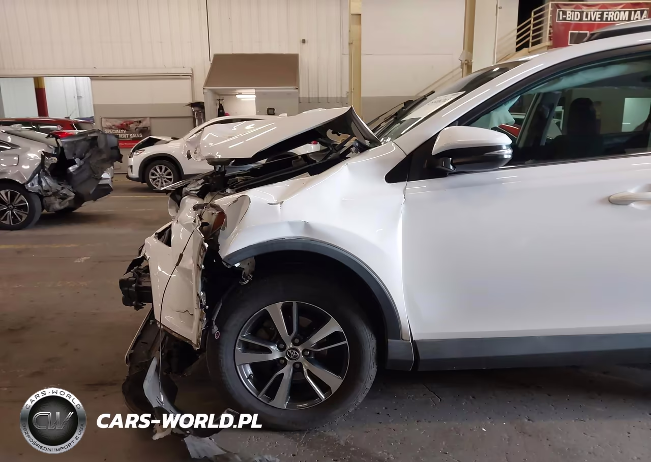 2016 Toyota Rav4 Xle VIN:2T3RFREV1GW442550 - 6