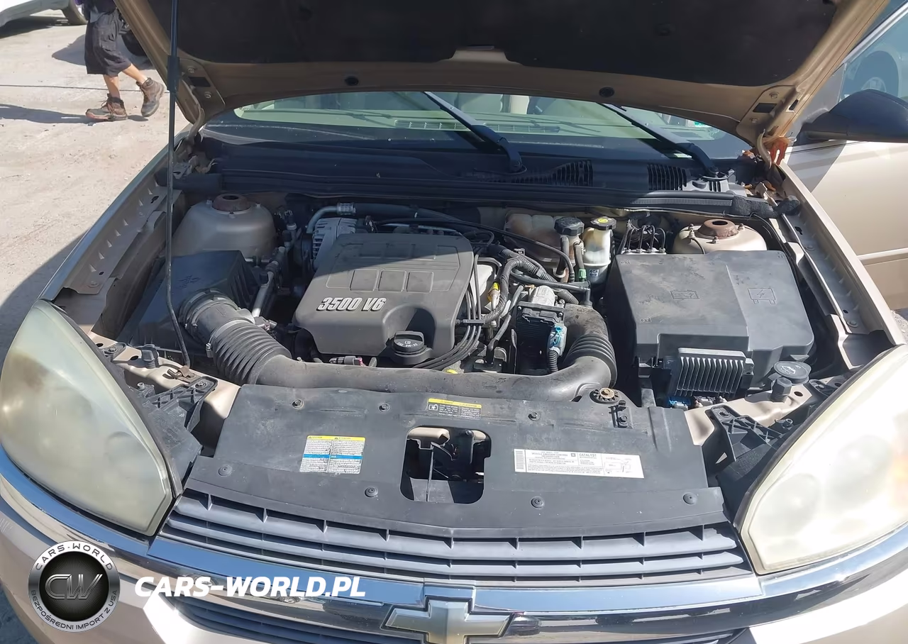 2005 Chevrolet Malibu Maxx Ls VIN:1G1ZT62865F316357 - 10