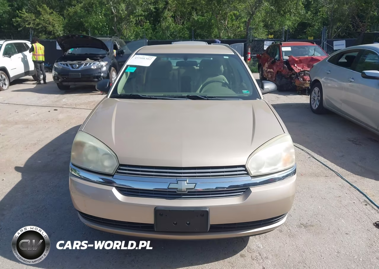 2005 Chevrolet Malibu Maxx Ls VIN:1G1ZT62865F316357 - 12