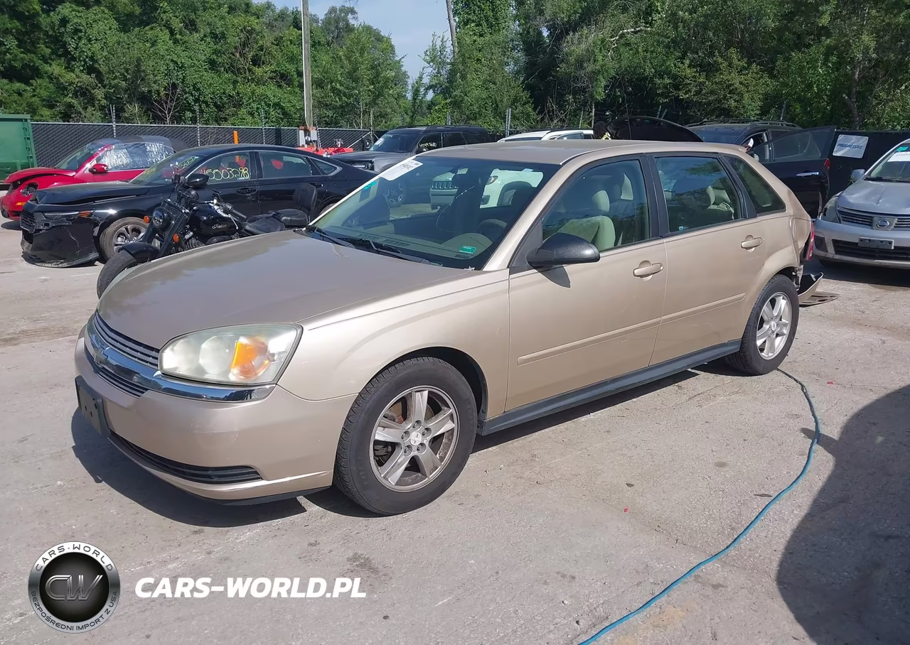 2005 Chevrolet Malibu Maxx Ls VIN:1G1ZT62865F316357 - 2