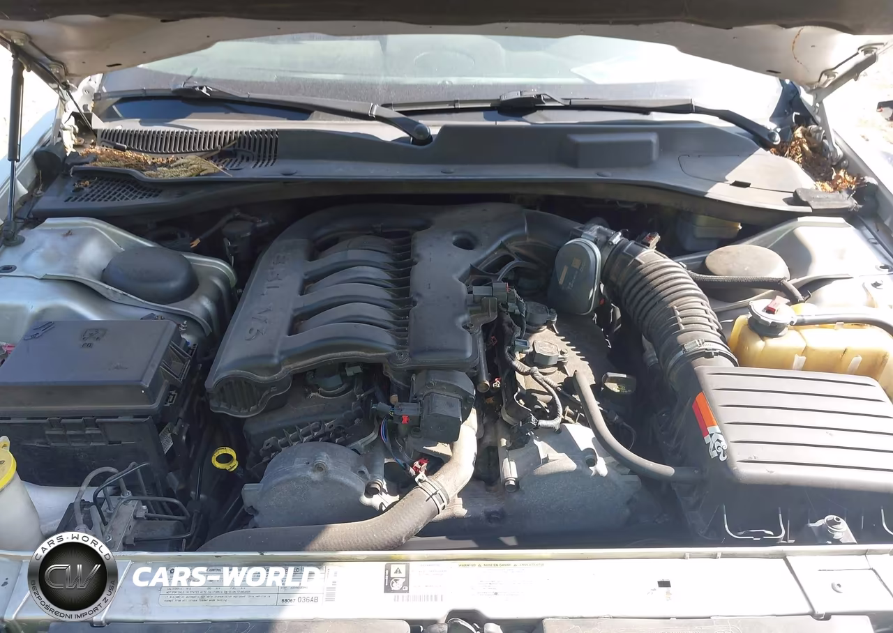 2010 Chrysler 300 Touring-Signature Series-Executive Series VIN:2C3CA5CV9AH289895 - 10