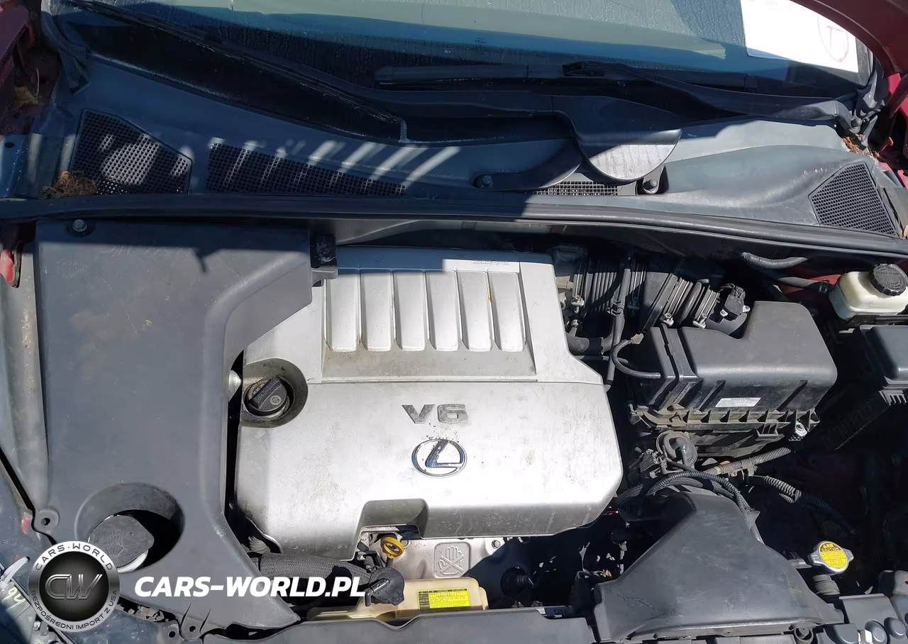 2009 Lexus Rx 350 VIN:2T2GK31U59C062858 - 10