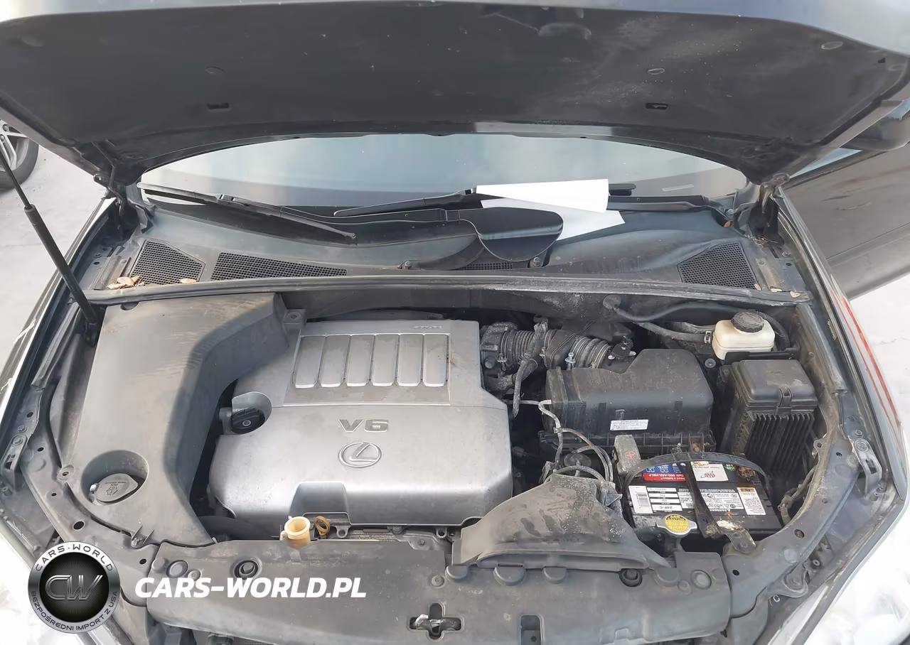 2009 Lexus Rx 350 VIN:2T2GK31U09C068955 - 10