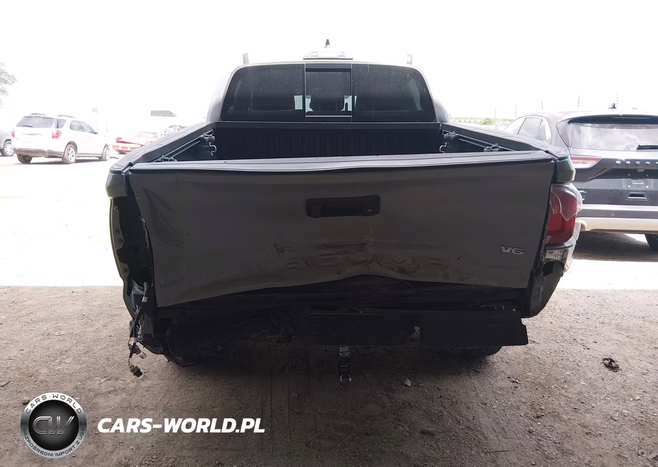 2020 Toyota Tacoma Trd Off-Road VIN:3TMCZ5AN1LM302358 - 6