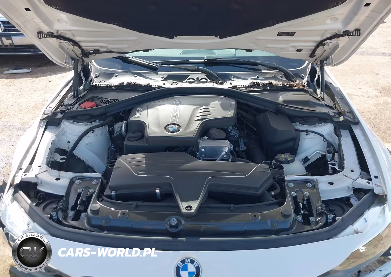 2016 BMW 320I xDrive VIN:WBA8A3C55GK689862 - 10