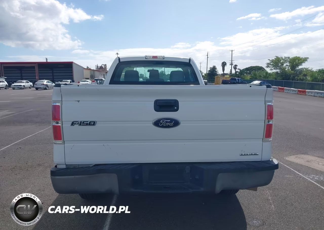 2014 Ford F-150 Stx-Xl-Xlt VIN:1FTMF1CM8EKE66470 - 19