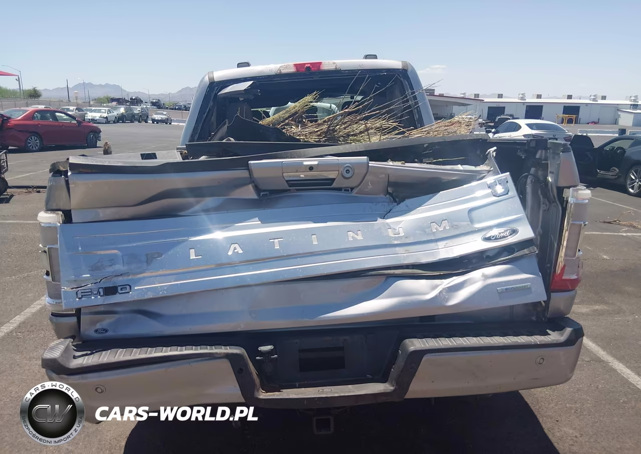 2021 Ford F-150 Platinum VIN:1FTFW1E8XMFA81685 - 15