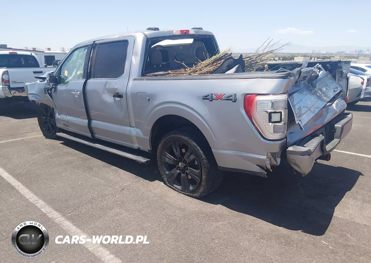 2021 Ford F-150 Platinum VIN:1FTFW1E8XMFA81685 - 3