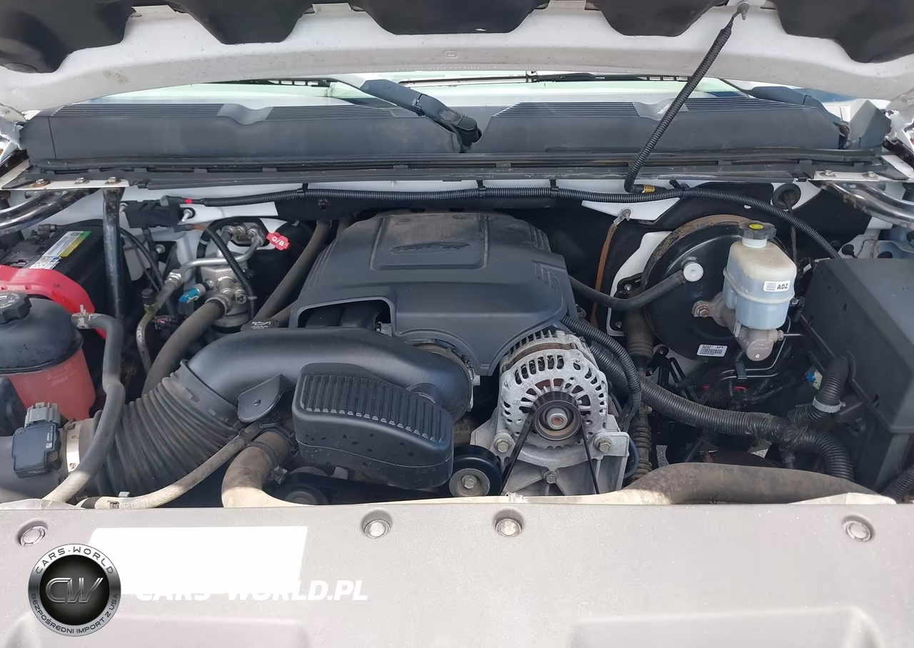 2009 Chevrolet Silverado 1500 Work Truck VIN:1GCEC14019Z189229 - 10