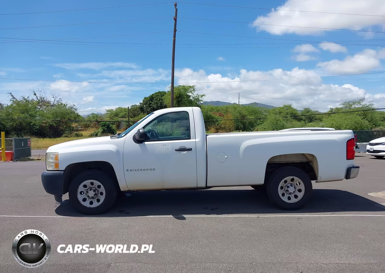 2009 Chevrolet Silverado 1500 Work Truck VIN:1GCEC14019Z189229 - 17