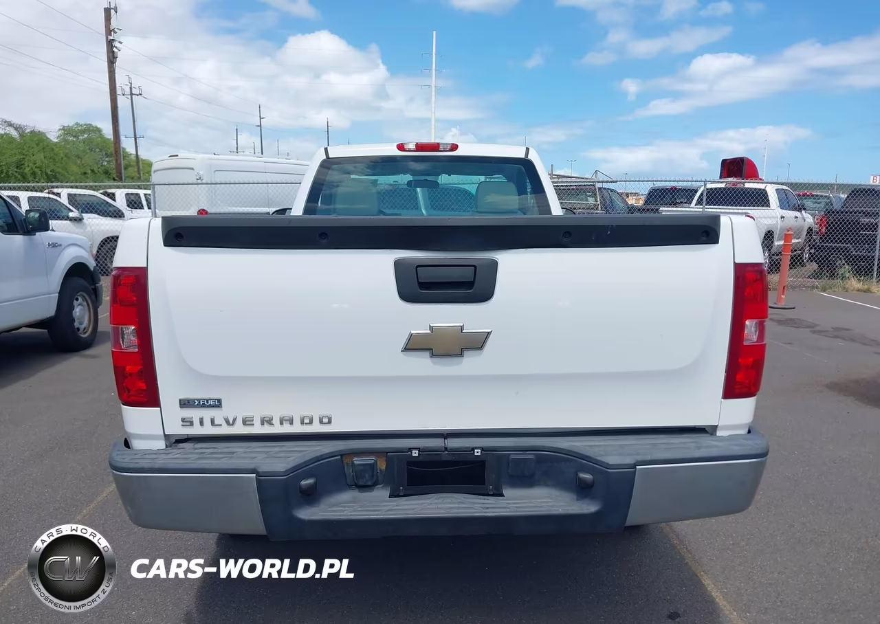 2009 Chevrolet Silverado 1500 Work Truck VIN:1GCEC14019Z189229 - 19