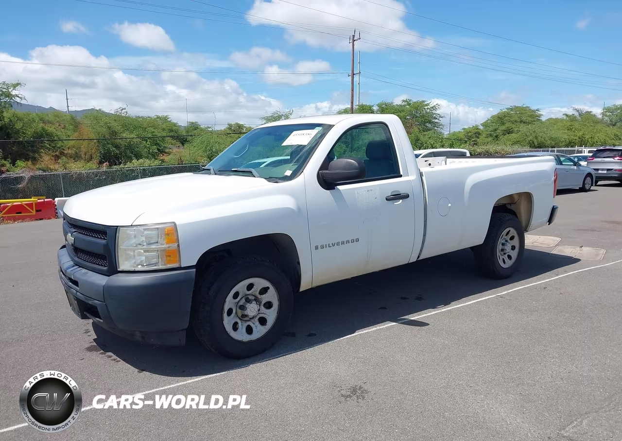 2009 Chevrolet Silverado 1500 Work Truck VIN:1GCEC14019Z189229 - 2