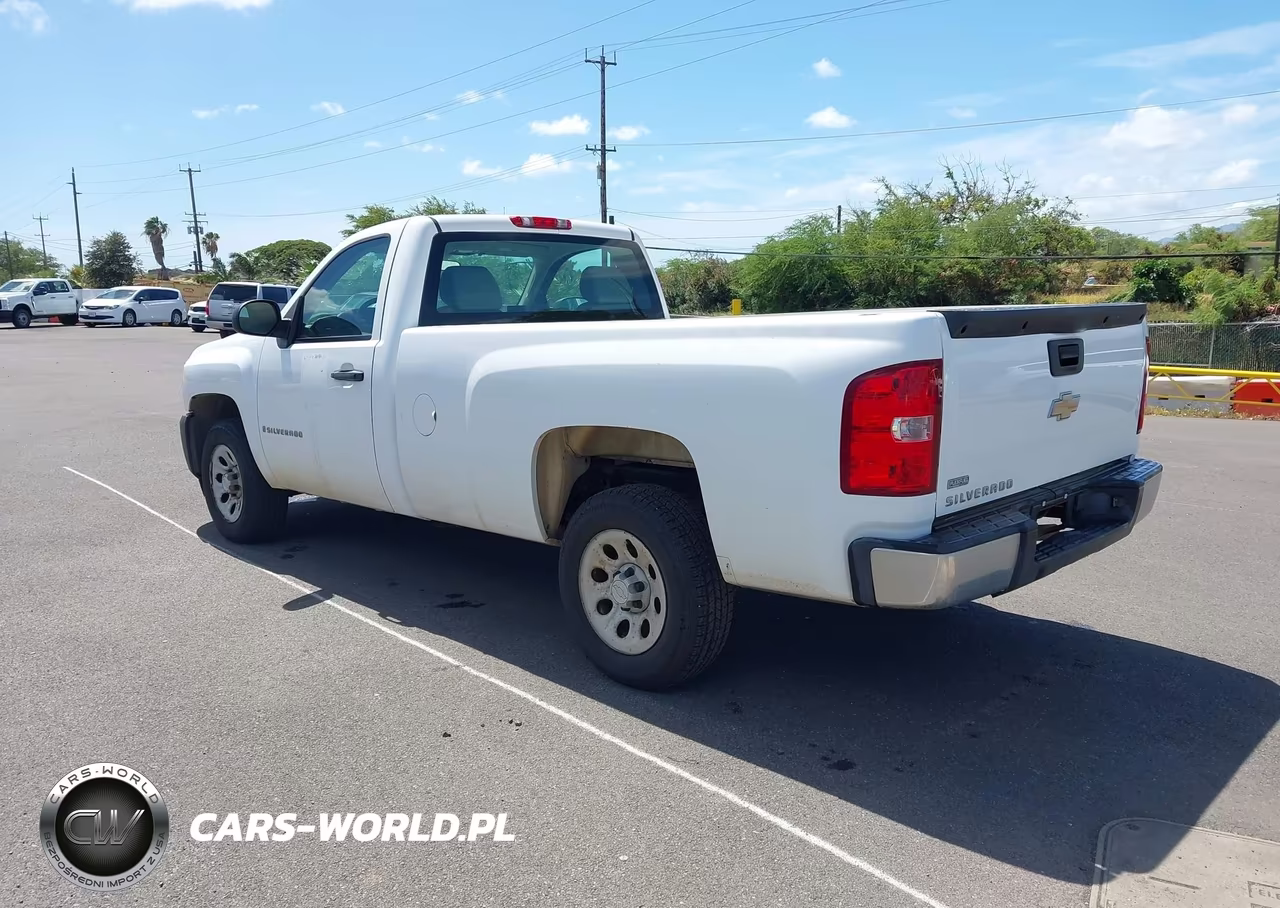 2009 Chevrolet Silverado 1500 Work Truck VIN:1GCEC14019Z189229 - 3