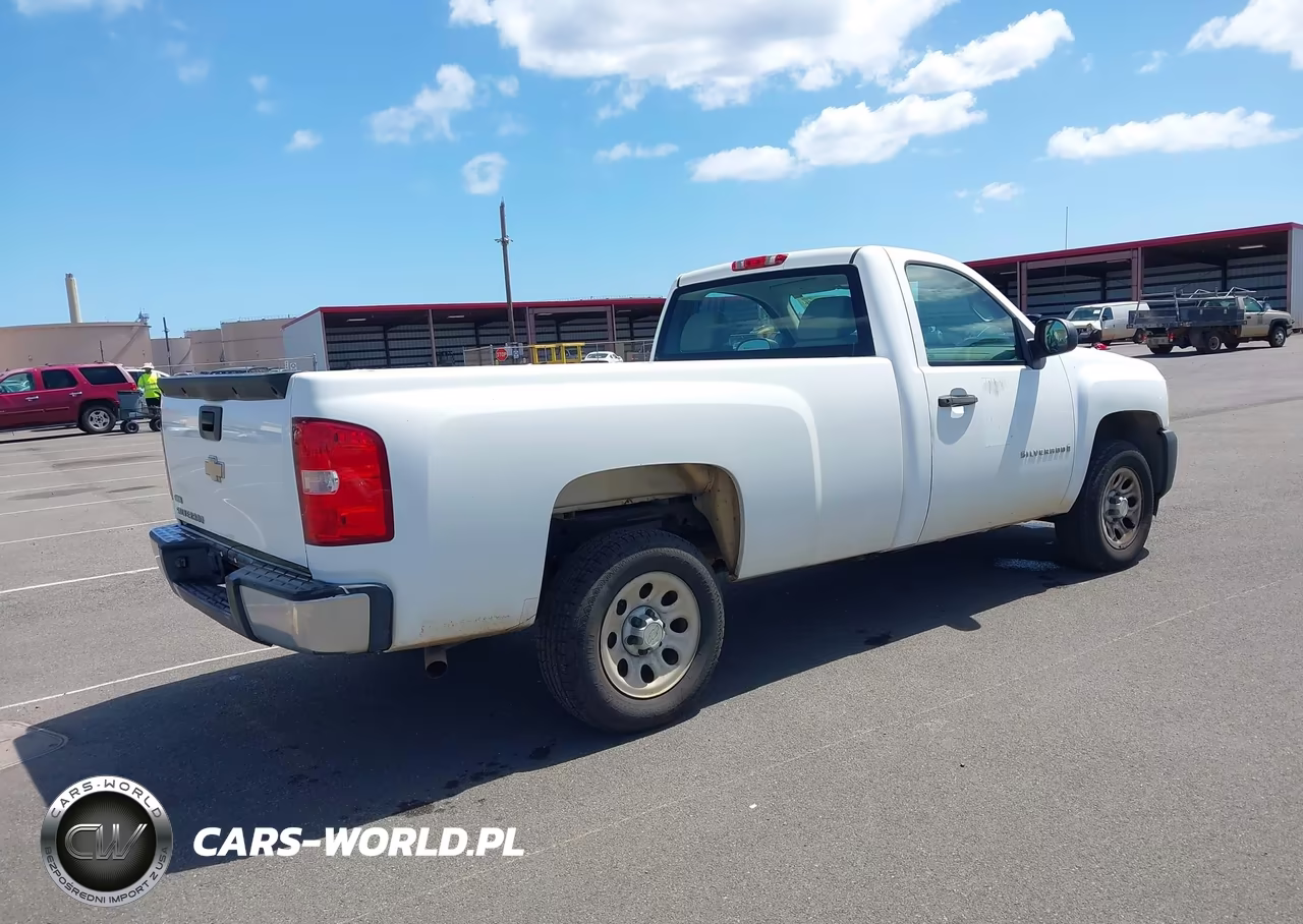 2009 Chevrolet Silverado 1500 Work Truck VIN:1GCEC14019Z189229 - 4