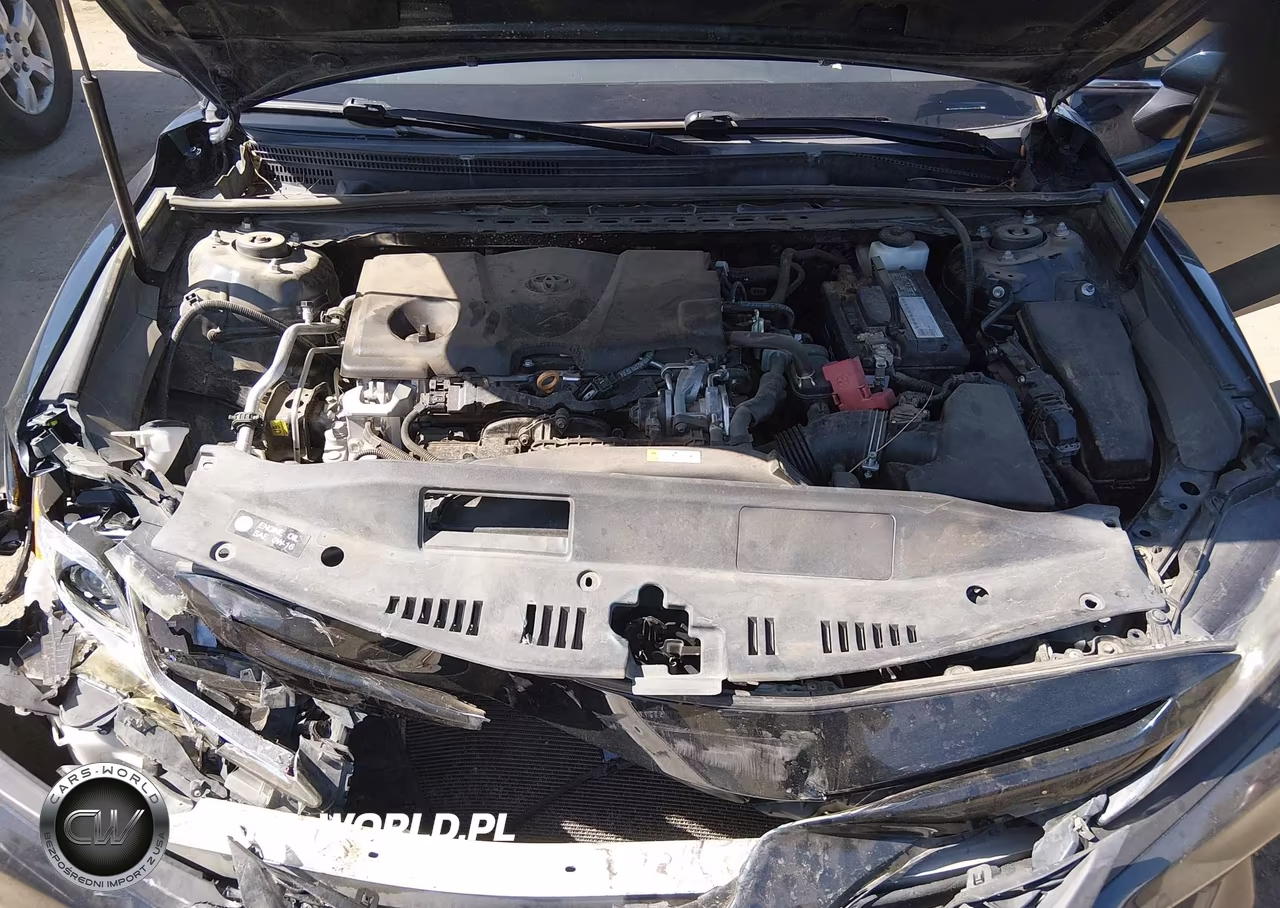 2019 Toyota Camry Se VIN:4T1B11HK6KU813920 - 10