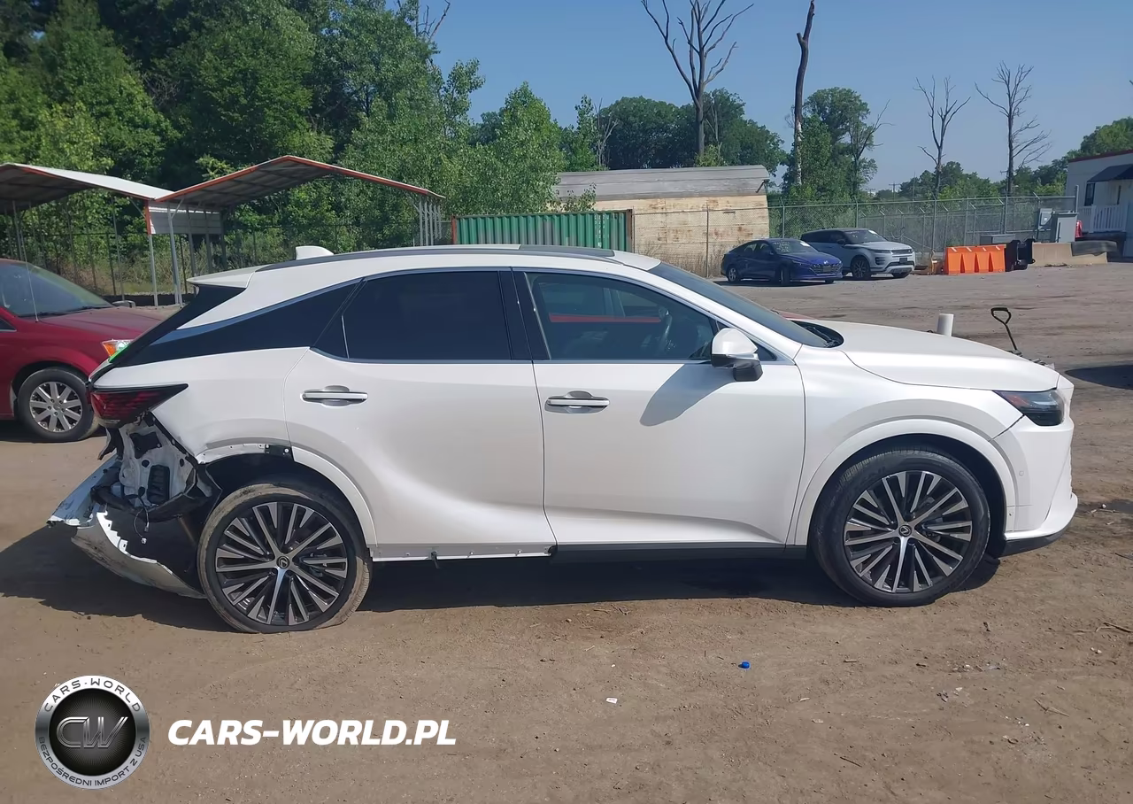 2024 Lexus Rx 350 Premium Plus VIN:2T2BAMCAXRC054700 - 13