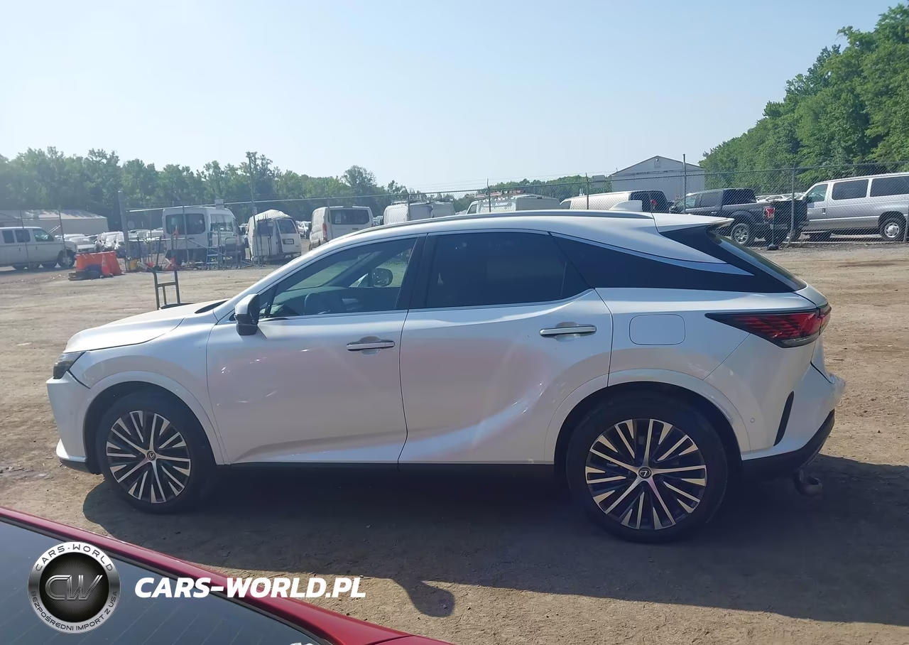 2024 Lexus Rx 350 Premium Plus VIN:2T2BAMCAXRC054700 - 14