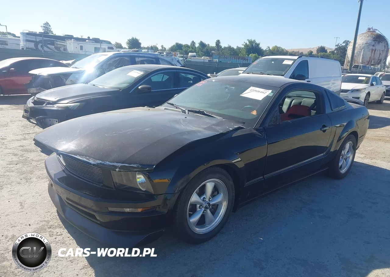 2008 Ford Mustang V6 Deluxe-V6 Premium VIN:1ZVHT80N485161564 - 2
