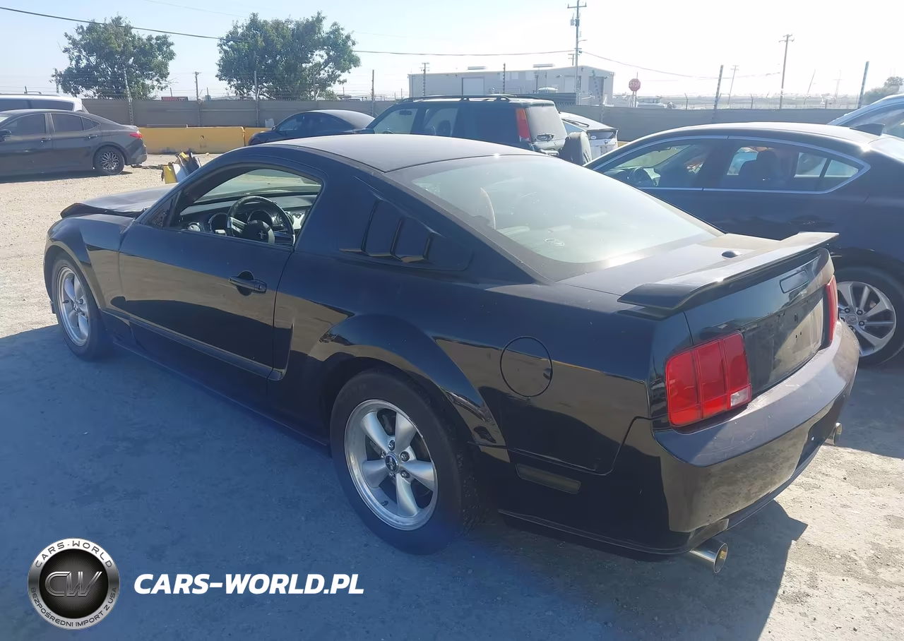 2008 Ford Mustang V6 Deluxe-V6 Premium VIN:1ZVHT80N485161564 - 3