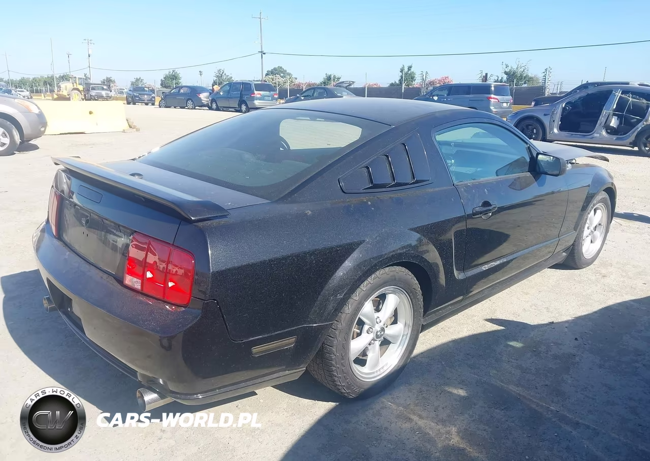 2008 Ford Mustang V6 Deluxe-V6 Premium VIN:1ZVHT80N485161564 - 4