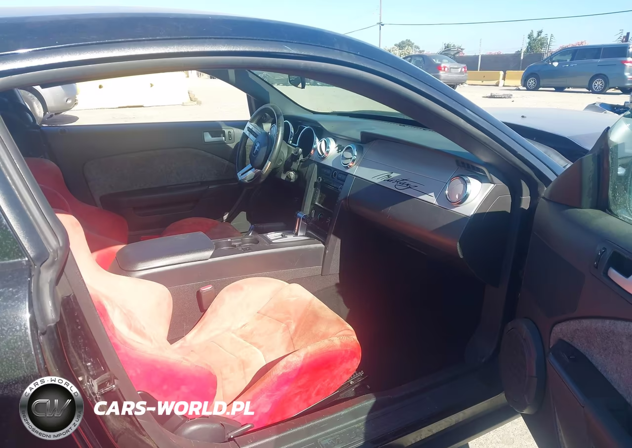 2008 Ford Mustang V6 Deluxe-V6 Premium VIN:1ZVHT80N485161564 - 5